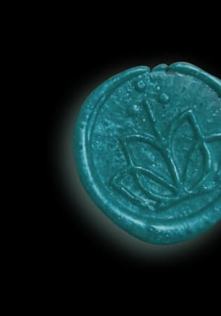 Ktaleia Seal