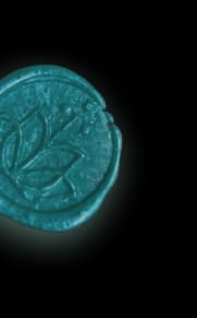 Ktaleia Seal